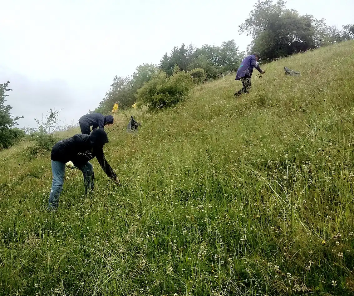 01.webp